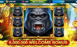 playwin